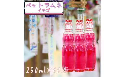 ペットラムネ イチゴ(250ml×30本)【1598130】