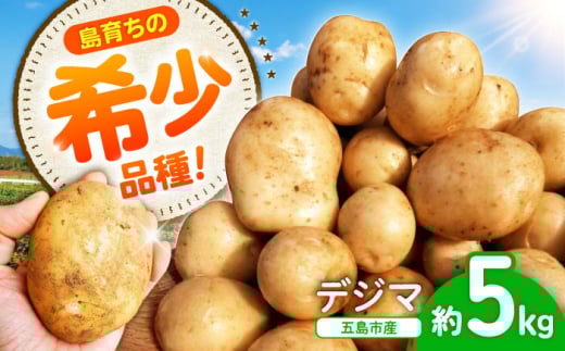 島の元気なじゃがいも!旨味抜群の『デジマ』5kg 五島市/あわたに農園 [PGO004]