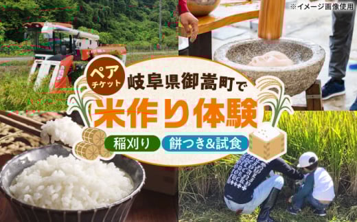 稲刈り ＆ もちつき体験 試食可 ペアチケット/稲刈り お米 米 餅つき 体験/御嵩町/株式会社アオキ [AVBN004]