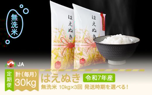 [先行予約] 新米 米 はえぬき 毎月定期便 10kg×3回 無洗米 令和7年産 2025年産 2025年12月中旬〜 ja-hamxa10-m12to2b