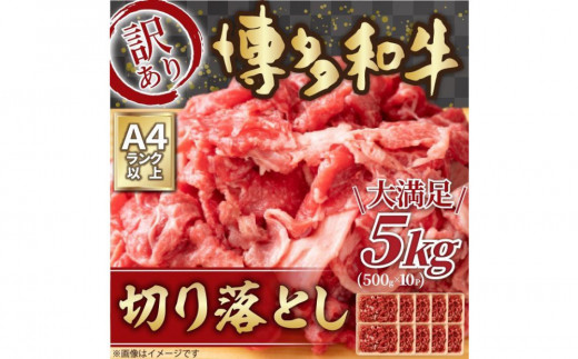 訳あり 博多和牛 切り落とし 5kg ( 500g×10パック ) | 牛肉 和牛 小分け 切り落とし 切落し 不揃い 5000g 5キロ 肉じゃが 牛丼 野菜炒め ブランド牛 お取り寄せ 高級 グルメ 2156682 - 福岡県大川市