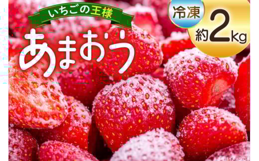 いちご 冷凍 あまおう 約2kg [mhshops 福岡県 筑紫野市 21761026] 冷凍いちご 冷凍イチゴ イチゴ 苺