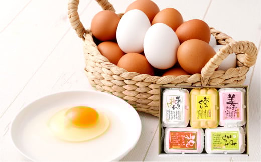 うぶこっこ家 たまご食べ比べセット 5種類 各6個 合計30個 希少卵 たまご 卵 玉子[2025年9月上旬-2026年3月上旬 発送予定]