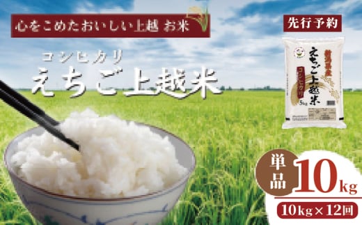 【先行予約】令和7年 新米 新潟県産コシヒカリ えちご上越米　定期便 【12ヶ月連続お届け】10kg×12回 120kg 新潟 米 新潟県 こしひかり 限定 おすすめ 2157558 - 新潟県上越市