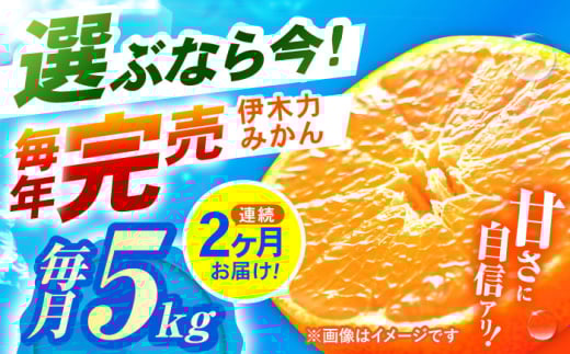 【2回定期便】※【11月より発送／先行予約】 伊木力みかん (家庭用) 5kg / みかん ミカン 蜜柑 柑橘 フルーツ ふるーつ 果物 くだもの / 諫早市 / 山野果樹園 [AHCF008]