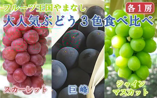 【2025発送分】【フルーツ王国山梨】３色ぶどう食べ比べセット（巨峰・シャインマスカット・スカーレット 各１房）　ぶどう 葡萄 ブドウ マスカット シャイン 赤ぶどう 黒ぶどう くだもの フルーツ 果物 食べ比べ お試し 山梨 やまなし 富士川町