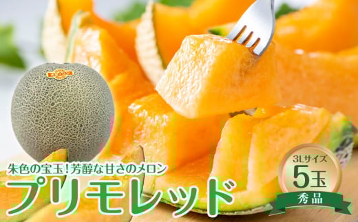 739.[先行予約][JA]大栄メロン プリモレッド(赤肉)赤秀3L×5玉 ※着日指定不可 ※離島への配送不可 ※2025年9月末頃〜10月下旬頃に順次発送予定[メロン めろん フルーツ 果物 鳥取県 北栄町 おすすめ 人気]