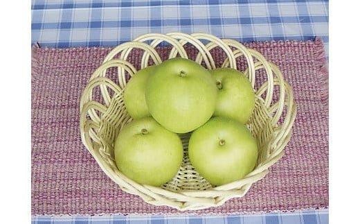 278.二十世紀梨 5kg(JA)※2025年8月下旬~9月上旬頃に順次発送予定【梨 なし ナシ 二十世紀梨 フルーツ 果物 鳥取県 北栄町 おすすめ 人気】
