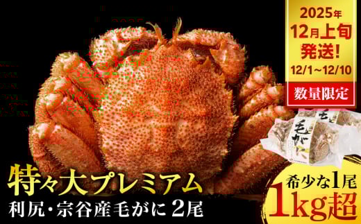 【2025年12月1日～12月10日発送】 毛ガニ 特々（1kg以上） 2尾 ＜利尻漁業協同組合＞ 2158999 - 北海道利尻富士町
