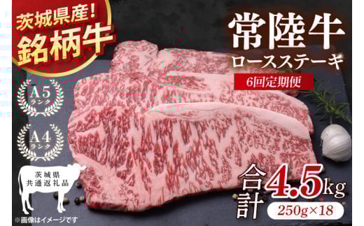 【茨城県共通返礼品】【6回定期便】常陸牛ロースステーキ 計4.5kg(250g×18)【銘柄牛 牛肉 冷凍 たんぱく質 ビタミン 茨城県産】(81-11)