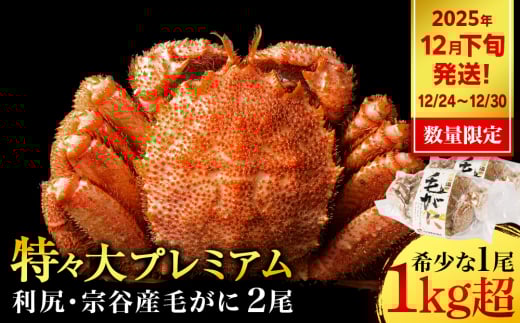 【2025年12月24日～12月30日発送】 毛ガニ 特々（1kg以上） 2尾 ＜利尻漁業協同組合＞ 2159001 - 北海道利尻富士町
