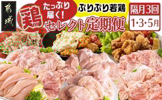 [セレクト定期便]〜たっぷり〜鶏定期便(3ヶ月)1月・3月・5月お届け≪2026年お届け≫_T41-MY02_(都城市) 定期便 宮崎県産若鶏 もも肉 国産若鶏 ムネ肉 ささみ