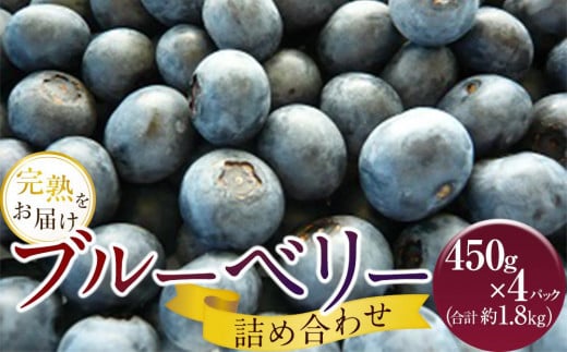 手摘みブルーベリー詰め合わせ（450g×4パック）＜2025年7月下旬より発送＞ 1258008 - 愛媛県内子町
