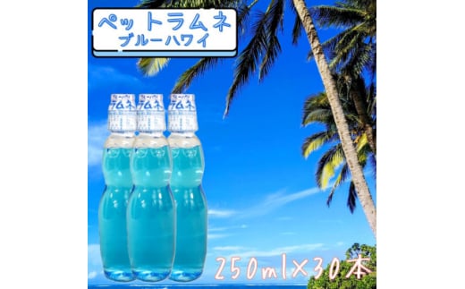 ＜なつかしい味＞ペットラムネ　ブルーハワイ(250ml×30本)【1598131】