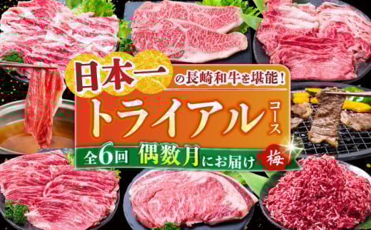 【全6回定期便】 長崎和牛 トライアルコース (梅) 長崎県/水田精肉店 [42ACAF021]
