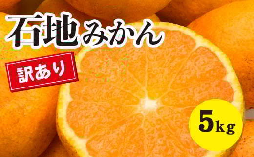 訳あり みかん 柑橘【先行受付】【2025年12月以降発送】糖度が高く濃厚！ 訳あり 石地みかん ＜約5kg＞ 広島 三原 佐木島 鷺島みかんじま 017065