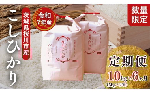 《 6ヶ月 定期便 》【生産者支援】《令和7年産》新米 茨城県桜川市産 こしひかり 10kg ( 5kg × 2袋 ) × 6回 茨城県産 桜川 米 お米 白米 コメ ごはん 精米 コシヒカリ 国産 限定 [SC064sa]