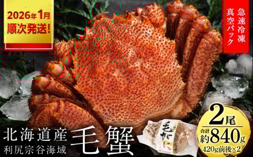 【2026年1月発送】毛ガニ 小小サイズ(420g前後) 2尾セット<利尻漁業協同組合> 2159059 - 北海道利尻富士町