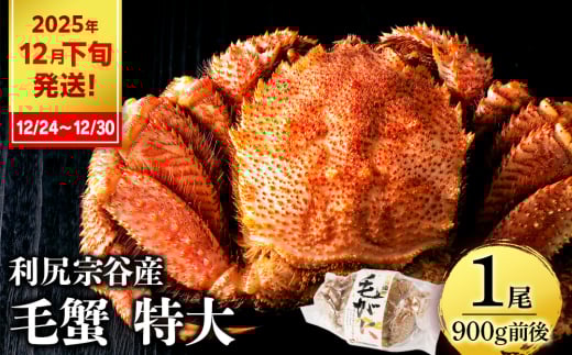 【2025年12月24日～12月30日発送】  毛ガニ 特大（900g前後） 1尾＜利尻漁業協同組合＞ 2159004 - 北海道利尻富士町
