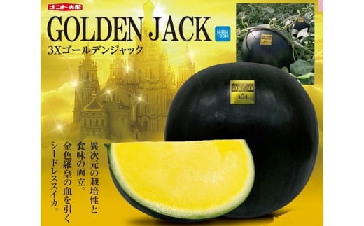 山形村産 ゴールデンジャック 1玉（9kg以上）中川農園 3212
