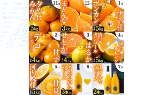＜発送月固定定期便＞「こたつの上の冬物語」驚異の全14種類!!＜H49-75＞全9回【4056043】 1489048 - 愛媛県八幡浜市