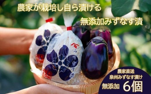 水なす漬け6個セット（042_5004）