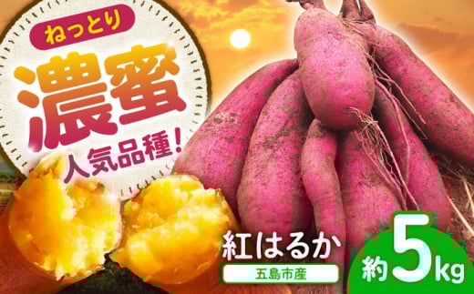 島の元気なさつまいも!ねっとり甘い『紅はるか』5kg 五島市/あわたに農園 [PGO002]