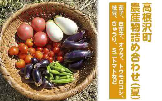 高根沢町農産物詰め合わせ（夏）※2026年6月上旬～8月下旬頃に順次発送予定　※北海道・沖縄・離島への配送不可