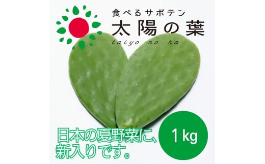 食べるサボテン 太陽の葉 フレッシュリーフ食用サボテン(1kg)