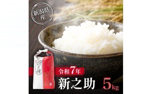 【先行予約10月中旬より順次出荷】令和7年 新潟県産 新之助 5kg 上越市清里区 新潟 精米 従来品種 希少 限定 2157554 - 新潟県上越市