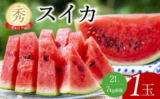 241.プレミアムスイカ 1玉 ※5月下旬～8月中旬頃に順次発送予定（こちらの返礼品は、大栄西瓜ではありません）【西瓜 スイカ 果物 フルーツ くだもの 鳥取県 北栄町 おすすめ 人気 送料無料】 660674 - 鳥取県北栄町