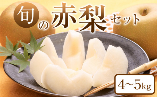 307.【先行予約】旬の赤梨セット 4～5kg前後 ※2025年8月下旬～12月下旬頃に順次発送予定 【先行予約 梨 なし 果物 フルーツ くだもの 鳥取県 北栄町 おすすめ 人気 送料無料】 553980 - 鳥取県北栄町