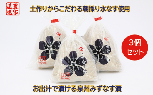 水なす漬け3個セット（042_5005）