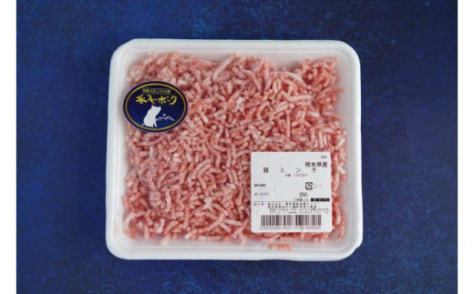 『香心ポーク』ミンチ 約250g×12パック（計約3kg）豚肉 冷凍 熊本県産 【有限会社 コーシン】 [AYCK023] 2156547 - 熊本県合志市