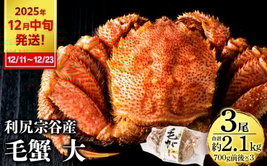【2025年12月11日～12月23日発送】 利尻島産 毛ガニ 大サイズ （700g前後）3尾＜利尻漁業協同組合＞ 2159023 - 北海道利尻富士町