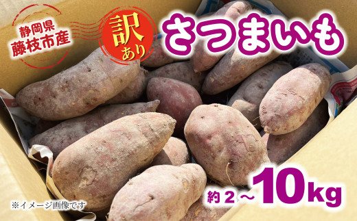 【2025年11月～順次発送予定】 訳あり さつまいも 約2kg～10kg 安納芋 紅はるか シルクスイート 栽培期間中 化学肥料 農薬 不使用 訳あり品 野菜 芋 期間限定 サツマイモ 焼き芋 旬 季節限定 静岡県 藤枝市