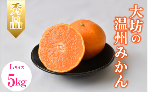 【2025年分先行予約】大坊の温州みかん 5kg（Lサイズ） ※2025年11月中旬～12月下旬頃に順次発送予定【期間限定・数量限定】 / みかん 蜜柑 5キロ お取り寄せ 産地直送 贈答品 ギフト 果物 くだもの フルーツ 田辺市 和歌山県【ymh020】 2156470 - 和歌山県田辺市