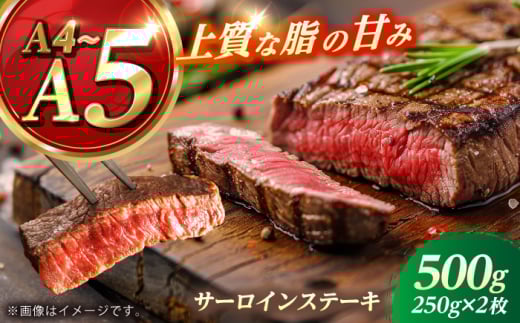 長崎和牛 サーロイン ステーキ 250g×2 [KRAZY MEAT] A5 A4 冷凍 和牛 肉 牛肉 BBQ 