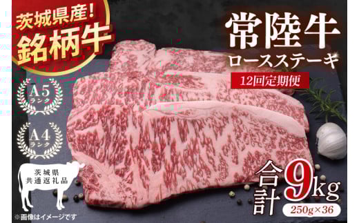 【茨城県共通返礼品】【12回定期便】常陸牛ロースステーキ 計9kg(250g×36)【銘柄牛 牛肉 冷凍 たんぱく質 ビタミン 茨城県産】(81-12)