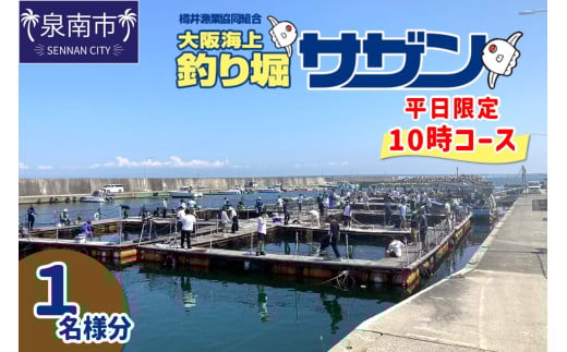 【泉南・樽井漁港】釣掘りサザン 10時コース 平日限定（1名様分）【044D-002】 1179291 - 大阪府泉南市