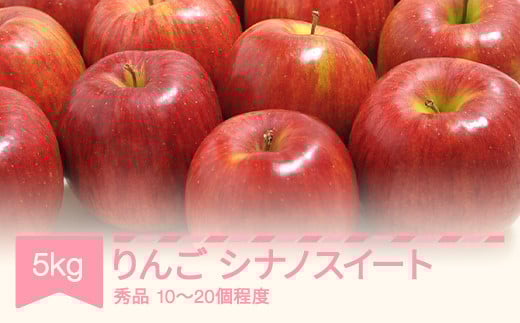 【先行予約】 シナノスイート 秀品 5kg りんご 令和7年産 2025年産 果物 ※沖縄・離島への配送不可 sb-rissx5 2134115 - 山形県村山市