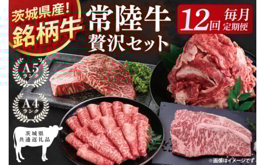 【茨城県共通返礼品】【12回定期便】最高級A4.5ランク常陸牛 贅沢セット【銘柄牛 牛肉 冷凍 たんぱく質 スライス ステーキ すき焼き しゃぶしゃぶ 切り落とし 茨城県産】(81-14) 2156572 - 茨城県阿見町