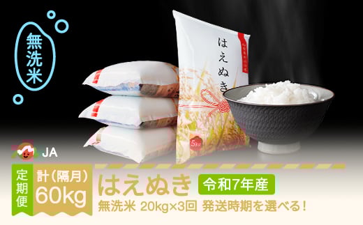 [先行予約] 新米 米 はえぬき 隔月定期便 20kg×3回 無洗米 令和7年産 2025年産 2025年11月中旬〜 ja-hamxa20-k11to3b