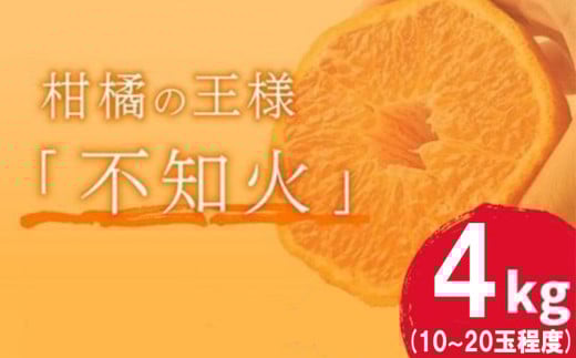 岡村農園直送 不知火 4kg | 数量限定 期間限定 農家直送 大人気 しらぬい 柑橘 デコポン 贈答用 デコポン ふるさと納税 室戸市 人気 ランキング 上位 みかん ミカン 高知県 室戸市