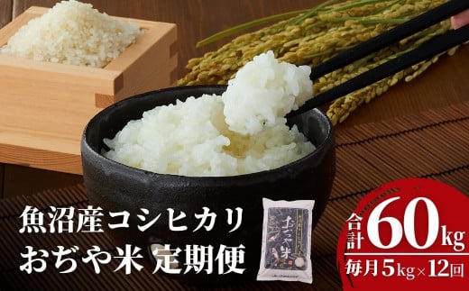 【12か月定期便(毎月発送)】 令和7年産