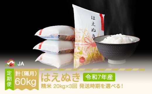 [先行予約] 新米 米 はえぬき 隔月定期便 20kg×3回 精米 令和7年産 2025年産 2025年11月中旬〜 ja-haxxa20-sk11to3b