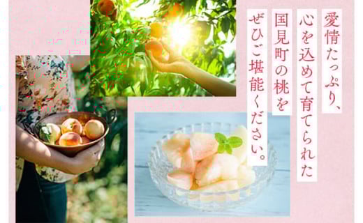 まちとも 帯締め 白 桃系 楽天市場】【収穫終了間際のためキャンセル可能性有り】 桃 福島