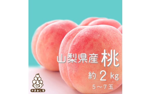 2026年 先行受付＜寄付金額変更14,000円→13,000円＞山梨旬の桃 約2kg(5～7玉) 【1017345】