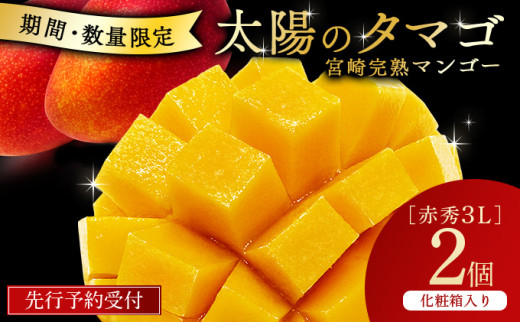 Y-CD5 数量限定!宮崎県串間市産の完熟マンゴー「太陽のタマゴ」(赤秀3L×2個)化粧箱入り【スーパーほりぐち】 257146 - 宮崎県串間市
