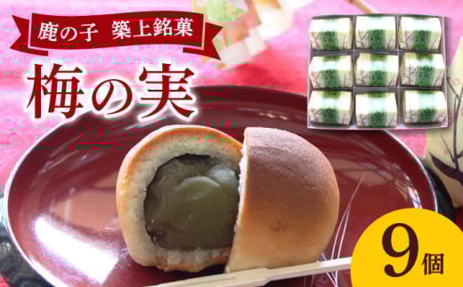 【老舗の菓子屋】築上銘菓「 梅の実 」9 個《築上町》【有限会社 御菓子司 鹿の子】 [ABAC017]